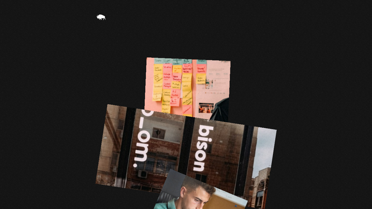 Bison Studio website